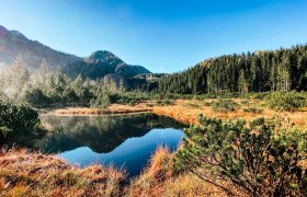 Leckermoor nature reserve, © Heidi Zettel Leckermoor nature reserve, © Heidi Zettel