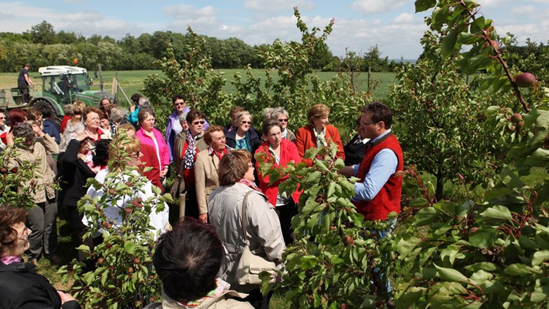 Operational management, © Ing. Wolfgang Hackl Operational management, © Ing. Wolfgang Hackl