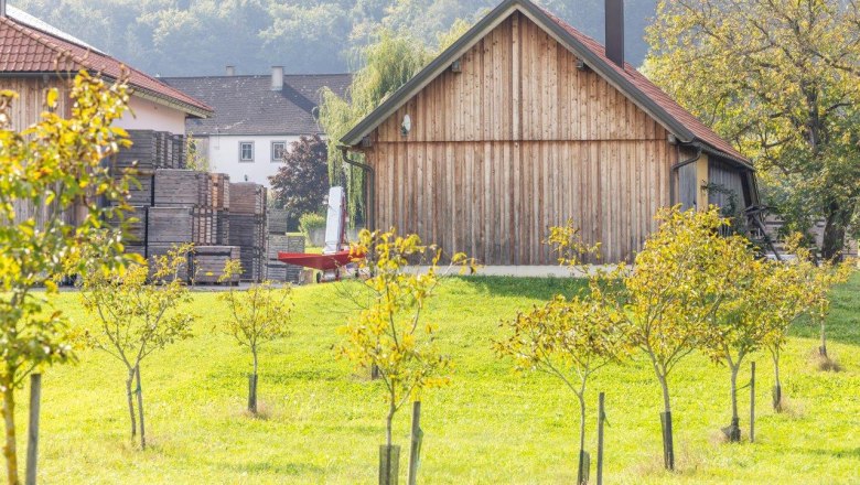 NUSSLAND, the nutcrackers that refine, © Theo Kust NUSSLAND, the nutcrackers that refine, © Theo Kust