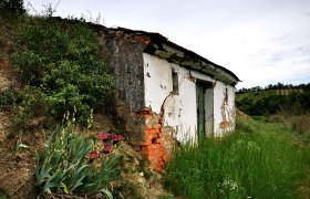 Mühlberg nature reserve, © Weinstraße Weinviertel Old building with a crumbling façade in a rural setting, surrounded by grass and flowers.
