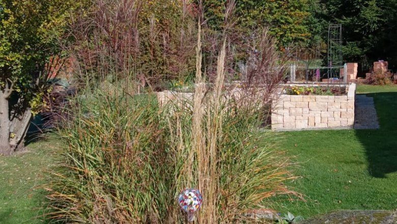 Grasses, © Dagmar Scheucher A garden with tall grasses, trees and a rockery under a blue sky.
