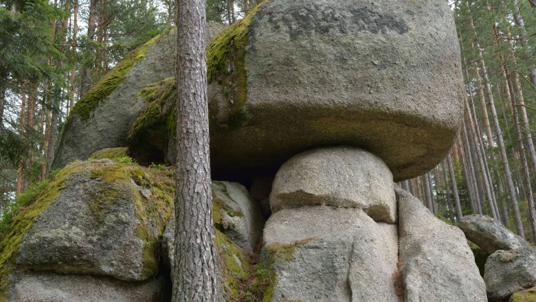 Mushroom stone Flesengarten Lembach, © Matthias Schickhofer Large, moss-covered rock in the forest, shaped like a mushroom.