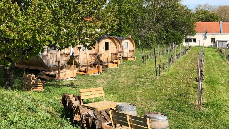 In the middle of the vineyard, © Peter Rohm In the middle of the vineyard, © Peter Rohm