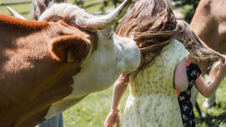Organic farm Teufel, © Gerald Demolsky Organic farm Teufel, © Gerald Demolsky