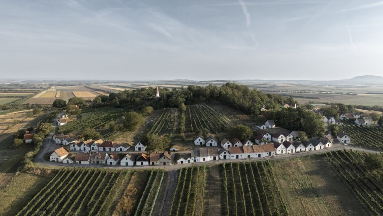 Wine cellar lane Galgenberg, © Weinviertel Tourismus / Frühmann Aerial view of the Galgenberg wine cellar lane with vineyards and small houses.