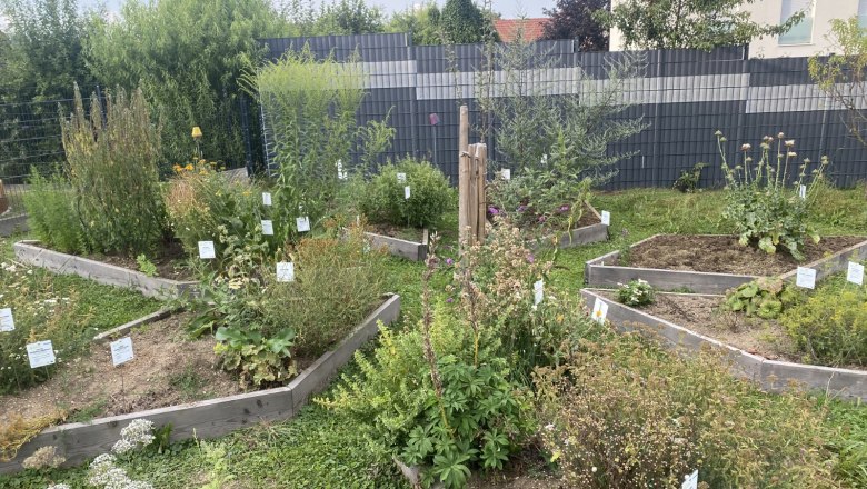 Herbal star, © Barbara Weilguni Herbal star, © Barbara Weilguni