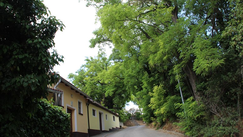 Side street, © Marktgemeinde Reisenberg Side street, © Marktgemeinde Reisenberg