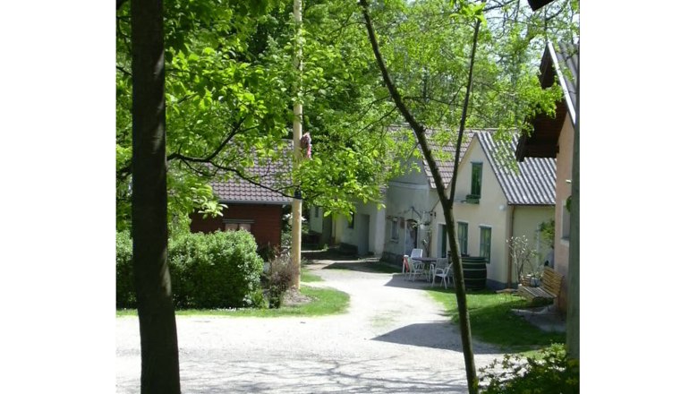 Wine cellar lane, © Gemeinde Leitzersdorf An idyllic wine cellar lane with small houses and lots of greenery in spring.