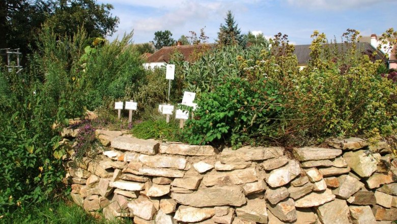 herb-bed-trosckenstein_c_kraeuterdorf_merkenbrechts, © Kräuterdorf Merkenbrechts Herb bed on a dry stone wall with signs, surrounded by plants and trees.