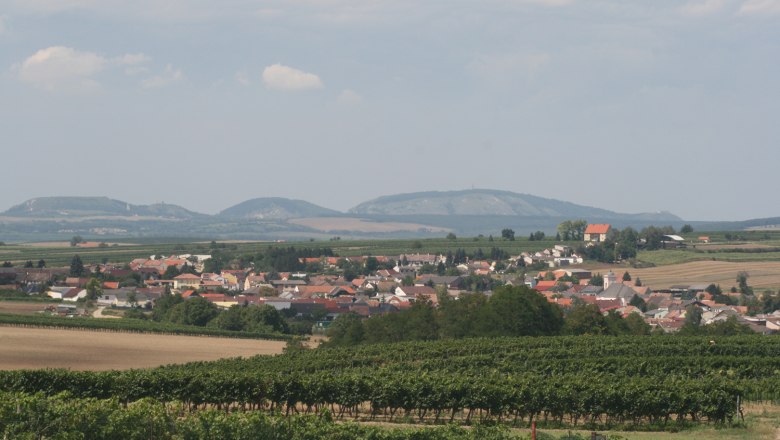 Schrattenberg, © Helmut Kaufmann Landscape with village, vineyards and hills in the background.