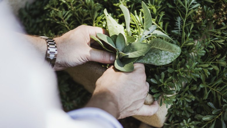 Pub bed, © Niederösterreich Werbung/David Schreiber Person plants herbs in a garden.