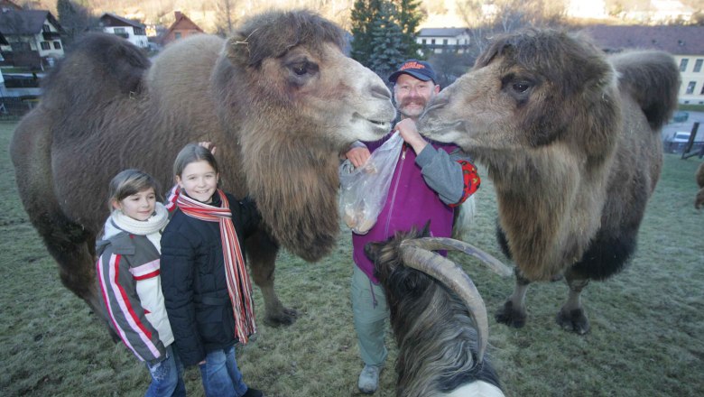 Meiselberghof, © Meiselberghof Two children and a man are standing in a meadow with two camels and a goat.