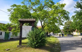 Wine cellar lane Feuersbrunn, © Verena Schnatter Wine cellar lane Feuersbrunn, © Verena Schnatter