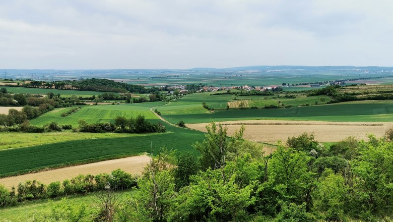 View from the Kogelkreuz, © Weinstraße Weinviertel Landscape in the Weinviertel with fields and hills.