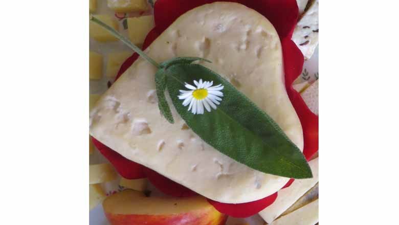 Cheese heart, © Fam. Rögner Cheese heart, © Fam. Rögner