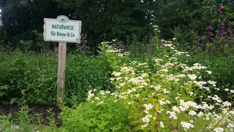 20180607_ksg_02_c_gemeinde-weinburg, © Gemeinde Weinburg A flowering natural meadow with a sign that reads "Natural meadow for bees & co.