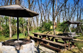 Enjoyment on the Hutberg, © Weinstraße Weinviertel Barbecue area with wooden tables and swings in the forest.