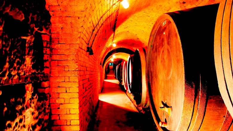 Donner Winery, © Michael Himml A wine cellar with large wooden barrels on the walls and an illuminated, vaulted ceiling.