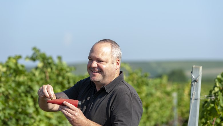 In the vineyard, © Michael Himml Man in the vineyard with refractometer in hand.