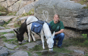 Holzmühle Inn & Pony Farm, © Birgit Taxböck Holzmühle Inn & Pony Farm, © Birgit Taxböck