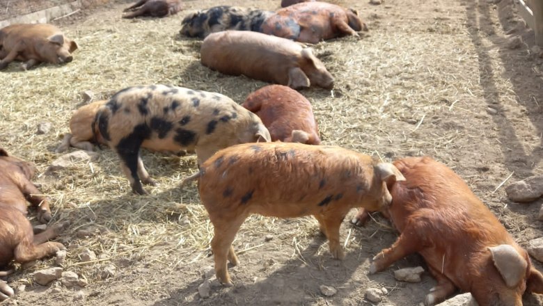 Binder Bio, © Binder Bio Binder Bio, © Binder Bio