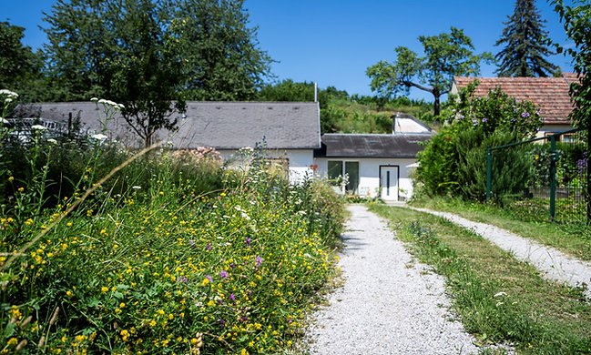 Vacation apartment Krems Valley ("Kremstal" in German), © Ferienwohnung Kremstal Vacation apartment Krems Valley ("Kremstal" in German), © Ferienwohnung Kremstal