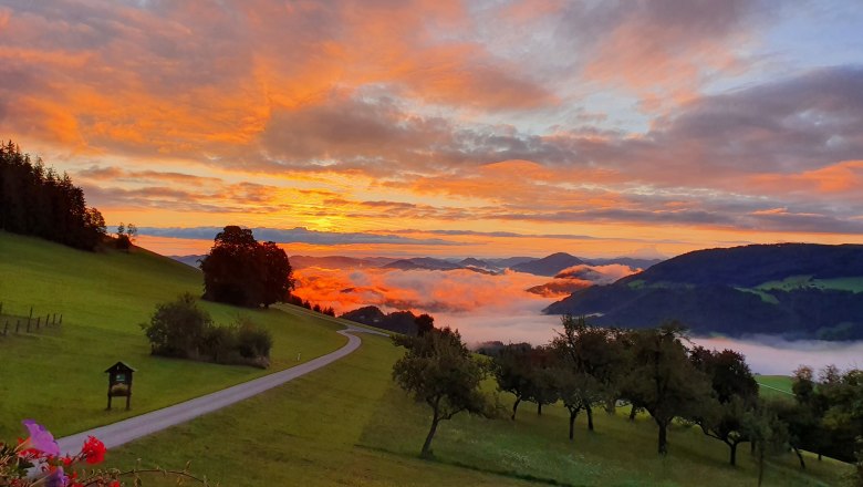 Morning mood, © Melanie Schweighuber Morning mood, © Melanie Schweighuber