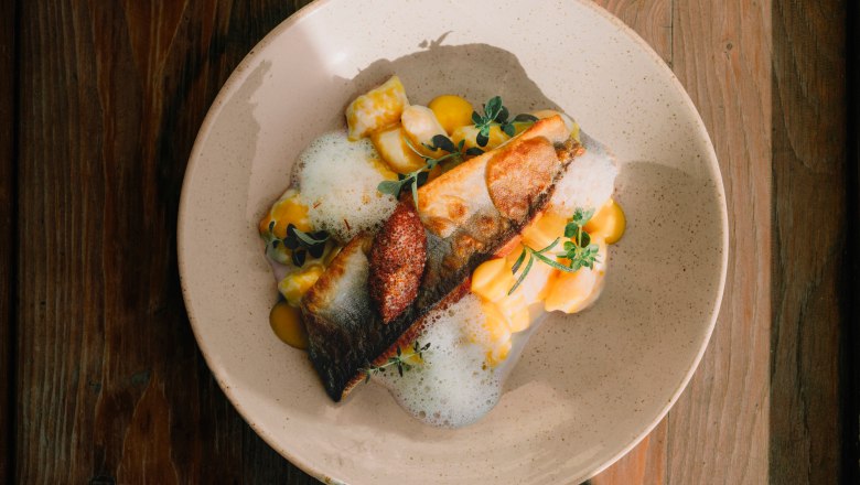Char fillet, potato and saffron dumplings, © Niederösterreich Werbung/Julius Hirtzberger Gourmet dish with fish fillet, foam and herbs on a ceramic plate.