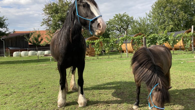 Alice and Lotta, © Andreas Artner Alice and Lotta, © Andreas Artner