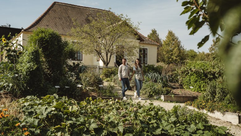 Weinviertel Museum Village, © Weinviertel Tourismus / Michael Reidinger Weinviertel Museum Village, © Weinviertel Tourismus / Michael Reidinger