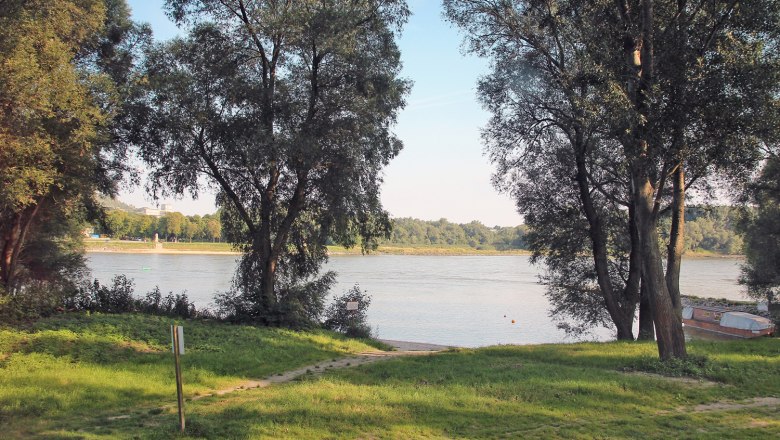 Bathing area car terrace Stopfenreuth, © Nationalpark Donau-Auen, Kern Riverbank with trees and meadow, in the background a river and a boat.