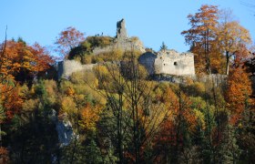 Hohenberg castle ruins, © Marktgemeinde Hohenberg Ruins of Hohenberg Castle surrounded by autumnal trees.