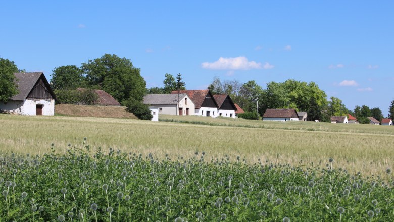Roseldorfer wine cellar lane, © Weinviertel Tourismus A rural scene with traditional buildings and a field in the foreground under a clear blue sky.