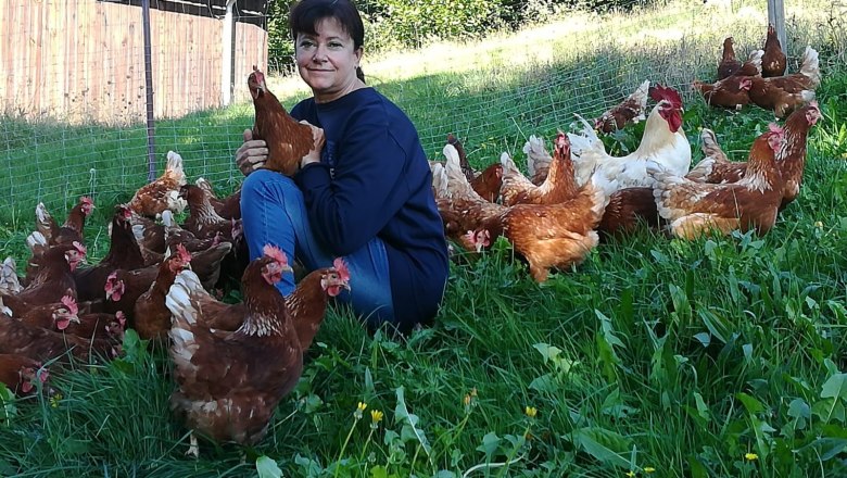 Monika's chicken farm, © Monika`s Hühnerhof A smiling woman holds a chicken in a green meadow, surrounded by many other chickens.