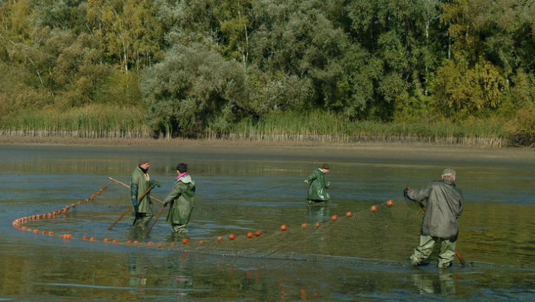 Fürstenberg fish, © Florian Kainz/Archiv Aqua Fürstenberg fish, © Florian Kainz/Archiv Aqua