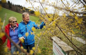 Weinburg nature trail, © weinfranz.at Weinburg nature trail, © weinfranz.at