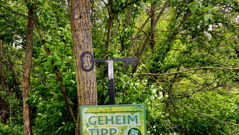 Hannelmühle wine cellar lane, © Weinstraße Weinviertel A sign with the inscription 'Insider tip' in front of a tree in a wooded area.