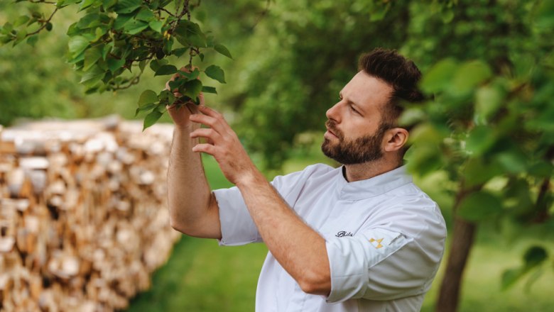 Apricots from our own garden, © Niederösterreich Werbung/Michael Reidinger A man in a white chef's jacket inspects a tree in the garden.