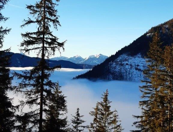 Surroundings, © Plachl Surroundings, © Plachl