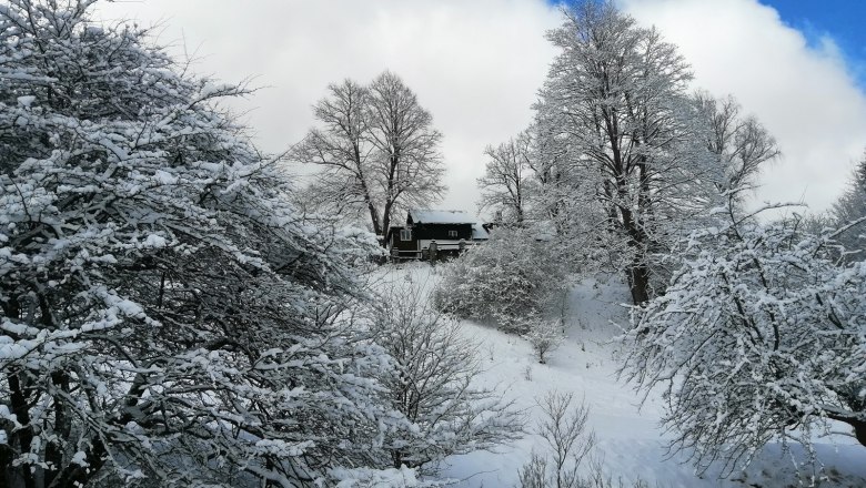 Oberhof country estate in winter, © Landsitz Oberhof Snowy landscape with a house in the background, surrounded by snow-covered trees and blue sky.