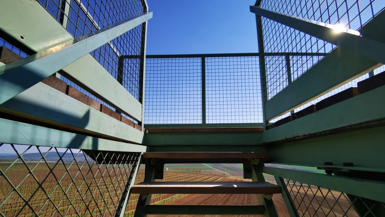 Heidbergwarte in Alberndorf, © Weinstraße Weinviertel View of fields and blue sky from a staircase with metal railings.