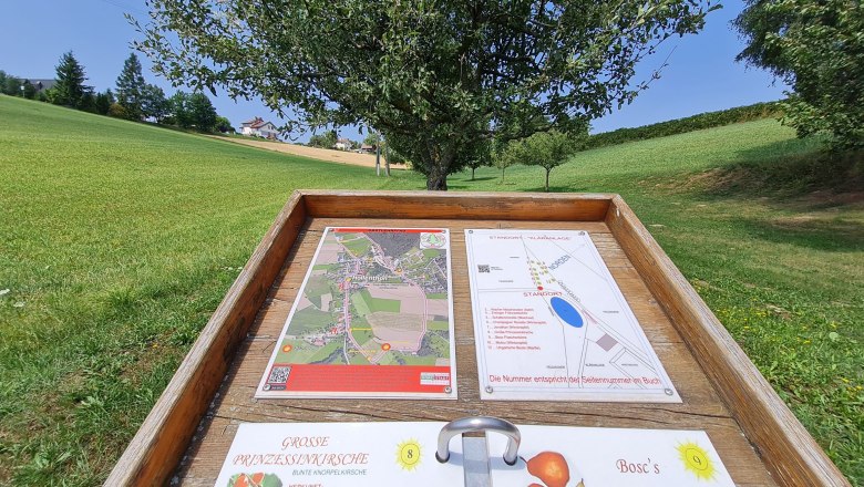fruit trailhollenthonccorneliaschuh-8_web, © Wiener Alpen, Schuh Information board on a fruit trail with maps and descriptions of fruit varieties, surrounded by green landscape and trees.