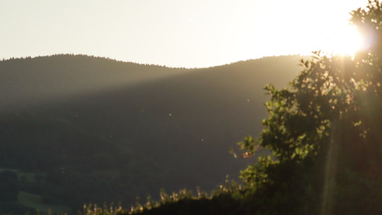 Sunset in the Yspertal, © Familie Moser Sunset in the Yspertal with hills and trees in the foreground.
