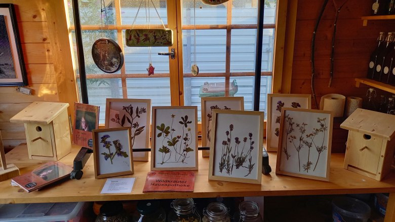 Natural history witch garden, © "Natur im Garten" A table in a wooden hut with framed dried plants, birdhouses and jars of herbs.