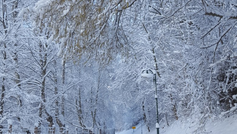 Entrance Schrattenbach, © Gruber Snow-covered road with trees and fence in winter.