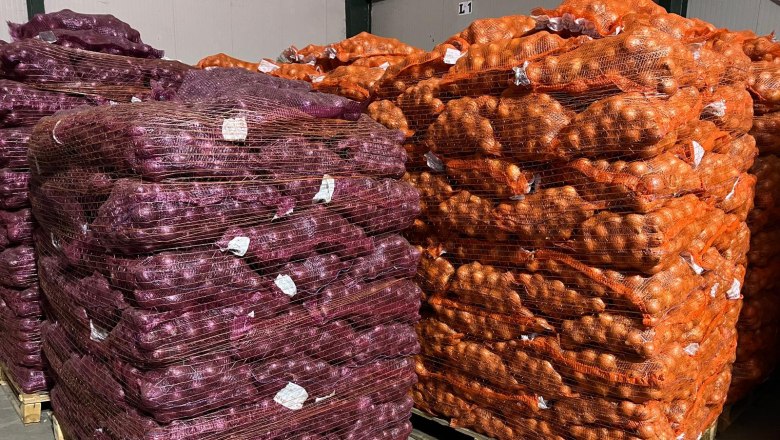 Factory tour possible, © Sabine Valis Stacked sacks of red and brown onions on pallets in a warehouse.