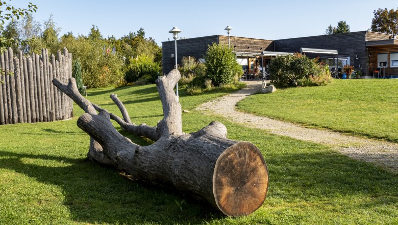 Heidenreichstein Nature Park Center, © Wolfgang Dolak A nature park with a large tree trunk in the foreground and a modern building in the background.