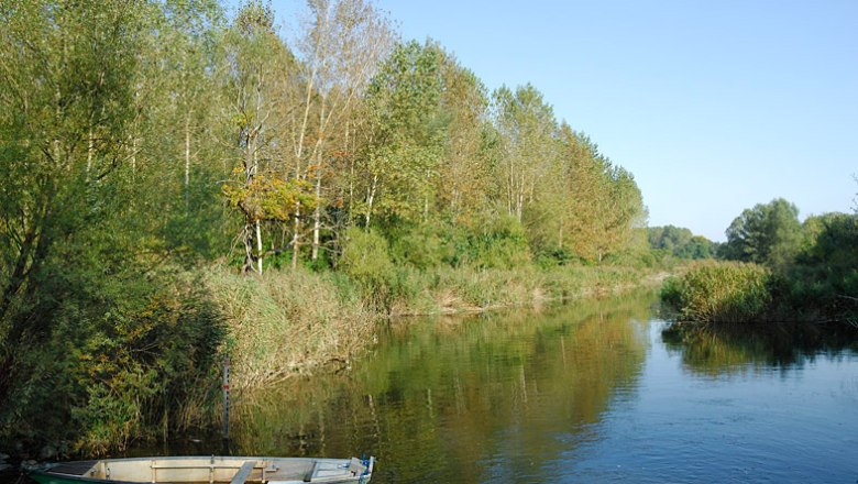 Danube floodplain, © Josef Stefan A calm river with a small boat on the bank, surrounded by dense forest and clear skies.