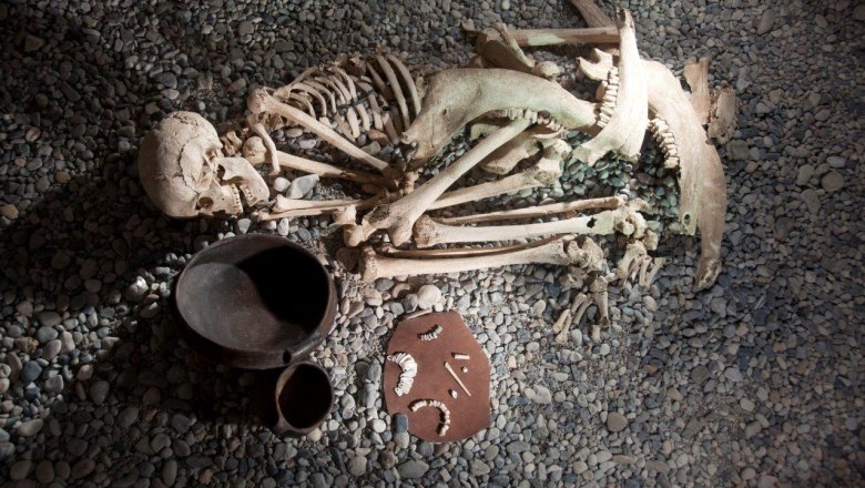 Female burial from Franzhausen II exhibited in the Nussdorf Museum, © Jakob Maurer Female burial from Franzhausen II exhibited in the Nussdorf Museum, © Jakob Maurer