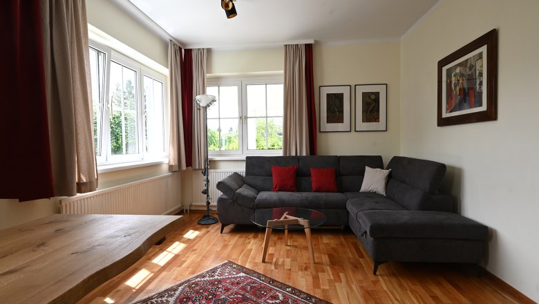 Living room, © Christine Kuppelwieser Modern living room with gray sofa, wooden table, carpet and large windows.